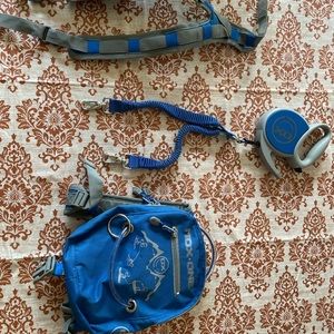 Kids ski backpack harness